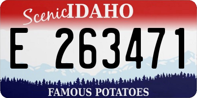 ID license plate E263471
