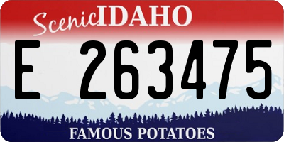 ID license plate E263475