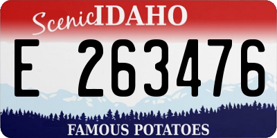 ID license plate E263476