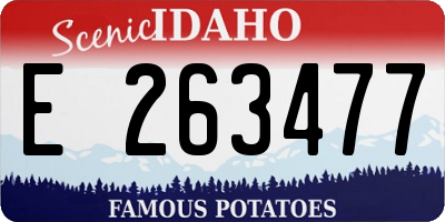 ID license plate E263477