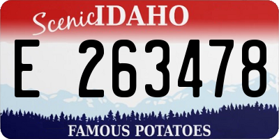ID license plate E263478