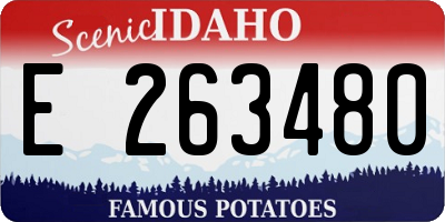 ID license plate E263480