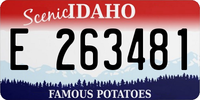ID license plate E263481
