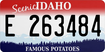 ID license plate E263484