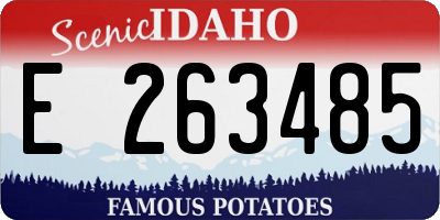 ID license plate E263485