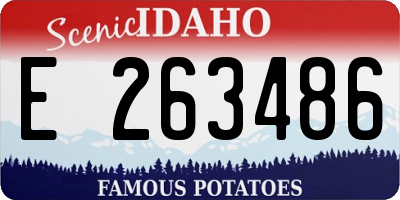 ID license plate E263486