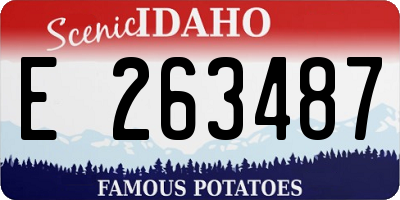 ID license plate E263487