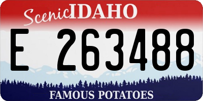 ID license plate E263488