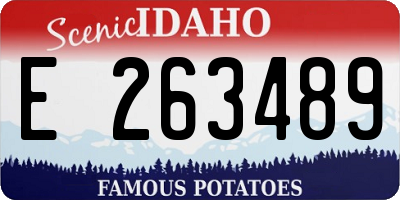 ID license plate E263489