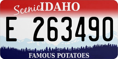 ID license plate E263490