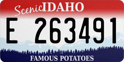 ID license plate E263491