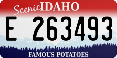 ID license plate E263493
