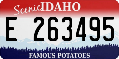 ID license plate E263495