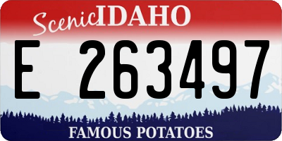 ID license plate E263497