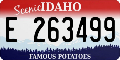 ID license plate E263499