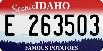 ID license plate E263503
