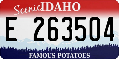 ID license plate E263504