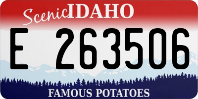ID license plate E263506