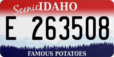 ID license plate E263508