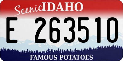 ID license plate E263510