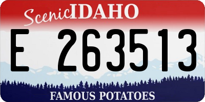 ID license plate E263513