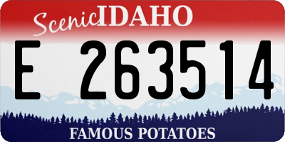 ID license plate E263514