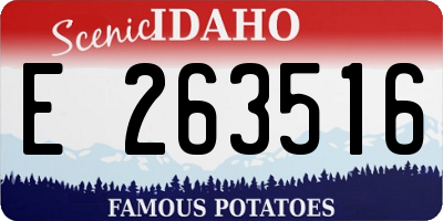 ID license plate E263516