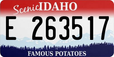 ID license plate E263517