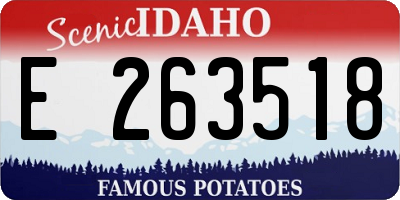 ID license plate E263518