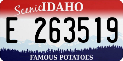ID license plate E263519