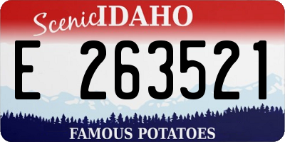 ID license plate E263521
