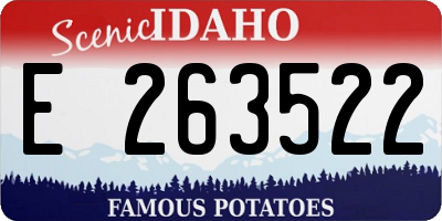 ID license plate E263522