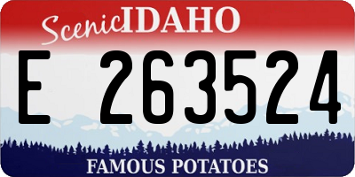 ID license plate E263524