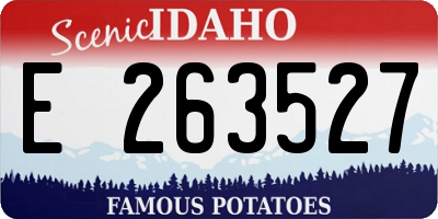 ID license plate E263527