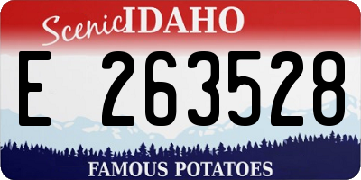 ID license plate E263528