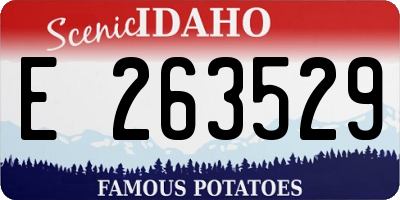 ID license plate E263529