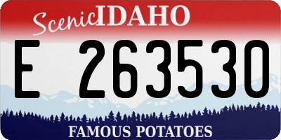 ID license plate E263530