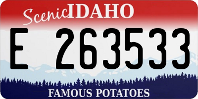ID license plate E263533