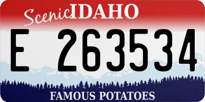 ID license plate E263534