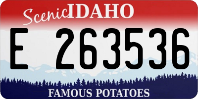 ID license plate E263536
