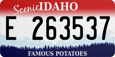 ID license plate E263537