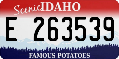 ID license plate E263539