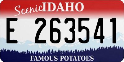 ID license plate E263541
