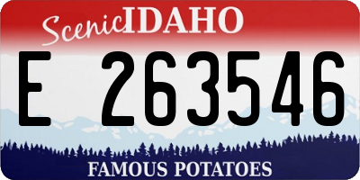 ID license plate E263546
