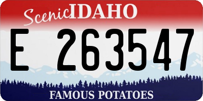 ID license plate E263547