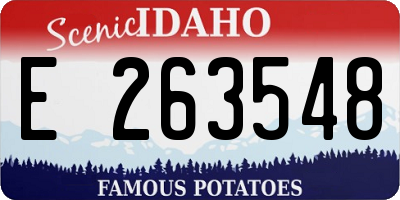 ID license plate E263548