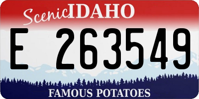ID license plate E263549