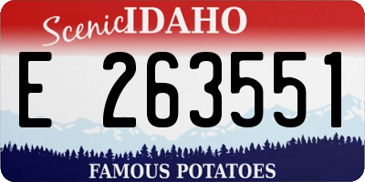 ID license plate E263551