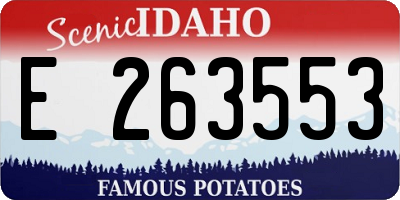 ID license plate E263553