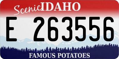 ID license plate E263556